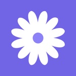 daisies