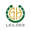 GH Leilões icon