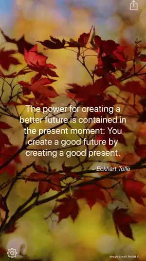 Present Moment screenshot 1