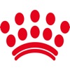 RC Start icon