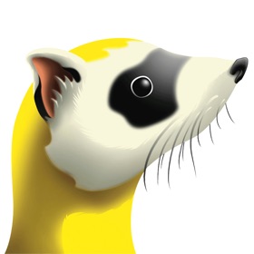 Screenshots (4) Ferret Tools
