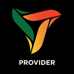 Provider VFix4U
