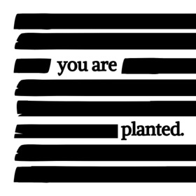 Redact: Hide Sensitive Info