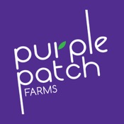 Purple Patch