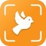 Get Bird Identifier - BI for iOS, iPhone, iPad Aso Report