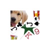 K9 Euchre icon