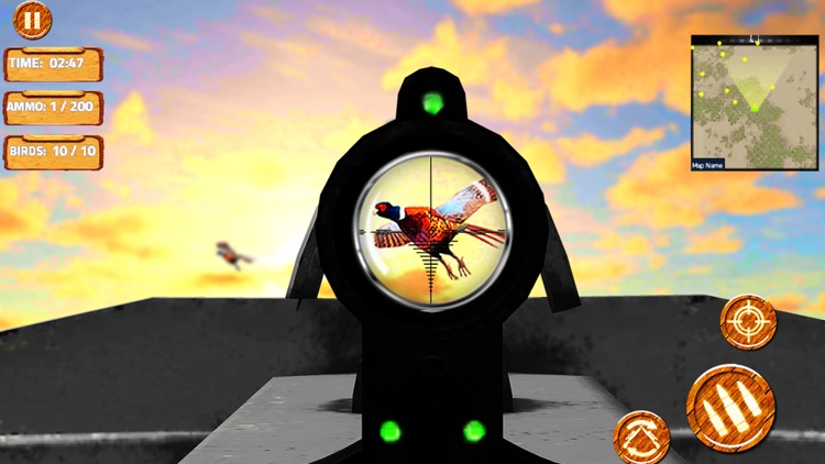 Pheasant Bow Hunting Pro screenshot-4