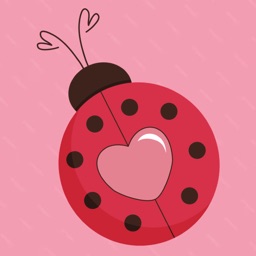 Love Bug - Messages & Advise