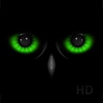 Night Eyes - Nachtzicht