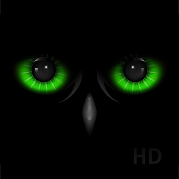 Night Eyes - Nachtzicht