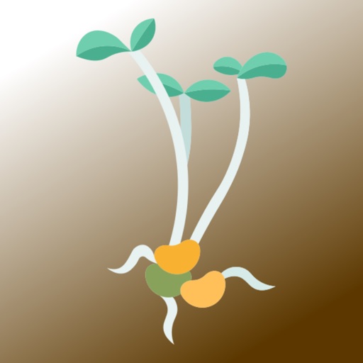 Cálculos de Plantio