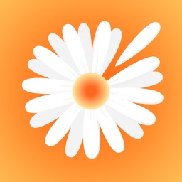 Ramonka – Your Life is Bright!