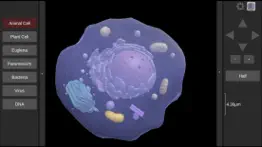 3d virtual cell iphone images 1