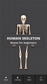 Human Skeleton: Beginner Bones screenshot