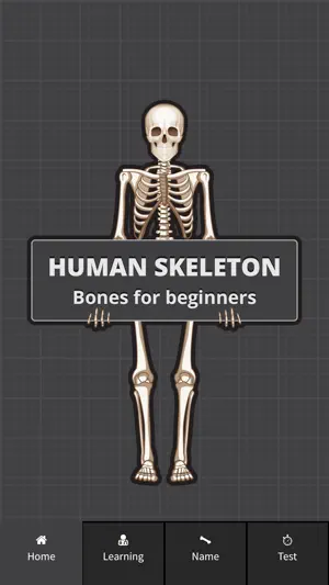 Human Skeleton: Beginner Bones screenshot 1