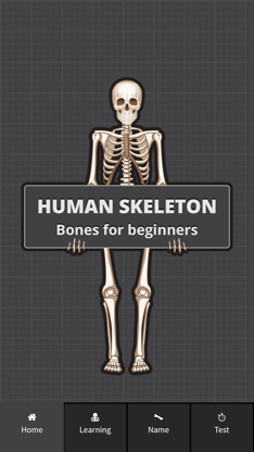 Human Skeleton: Beginner Bones screenshot 1