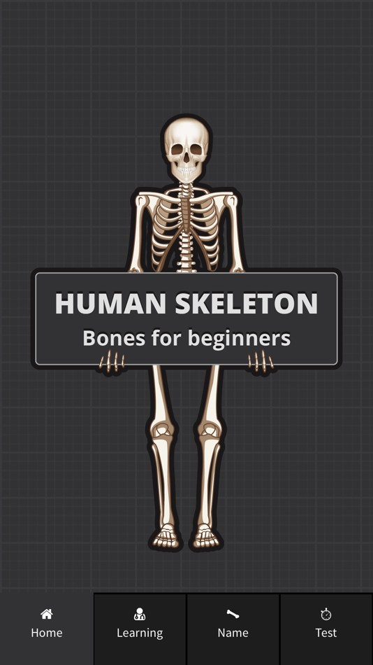 #1. Human Skeleton: Beginner Bones (iOS) 由: Unit11
