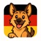 Master German in an engaging and practical way with Learn German with Rex, designed for learners of all ages (teens to adults)