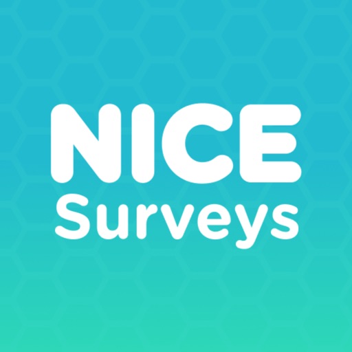 NiceSurveys: Earn Smarter