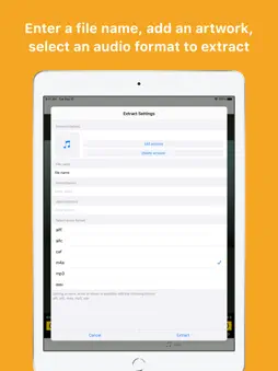 Export Audio screenshot 6