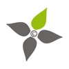Arvena icon