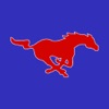 Nixon-Smiley CISD, TX icon