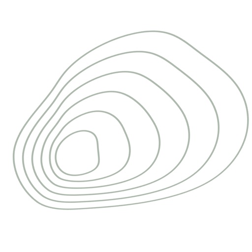 Ritually: Mindful Shifts