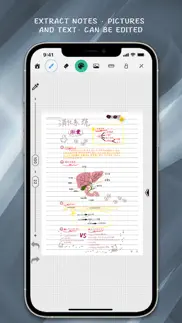 paintwork - draft notes iphone screenshot 3