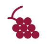 Wino: Identify & Explore Wines icon
