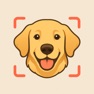 Get Dog Identifier: Dogtastic for iOS, iPhone, iPad Aso Report