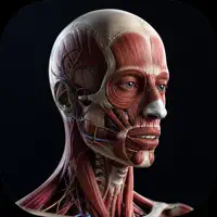 Human Anatomy - visible body
