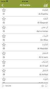 Quraan-E-Karim (15 Lines) screenshot