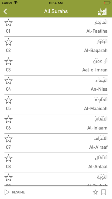 Screenshot #3 pour Quraan-E-Karim (15 Lines)