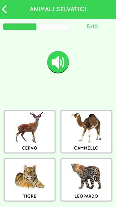 Learn Italian beginners Screenshot