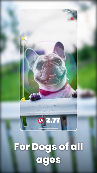 Train your Dog - Dognito Screenshot