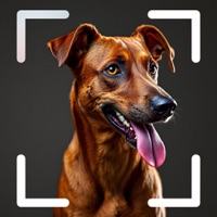 Dog Identifier - pet scanner