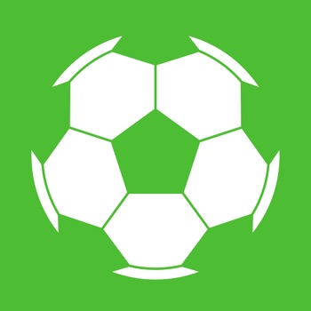 Soccer Teammate