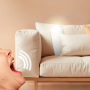 Find By Voice