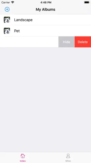 Origin Album - encrypted album screenshot 2