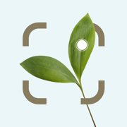 AI Plant Identifier Snap, Find