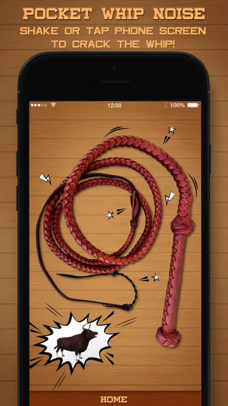 Pocket Whip Noise