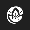 Lírio Capão icon