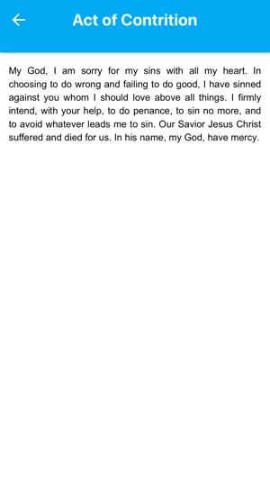 Catholic Confession screenshot 3