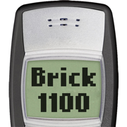 Brick 1100