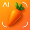 AI Calorie Counter - Kalo icon
