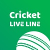 Live Cricket LiveLine IPL 2024