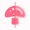 Mushroom Identification ID - Picture & Photo Identifier Company LTD