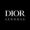 DIOR SEONGSU icon
