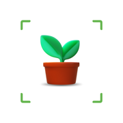 Plant Identifier: Scan Plant
