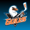 San Diego Gulls Hockey icon